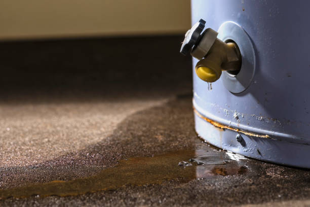 Best Sewage cleanup and water damage restoration  in North Potomac, MD