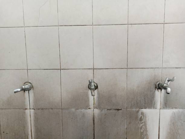 Best Residential water damage restoration  in North Potomac, MD