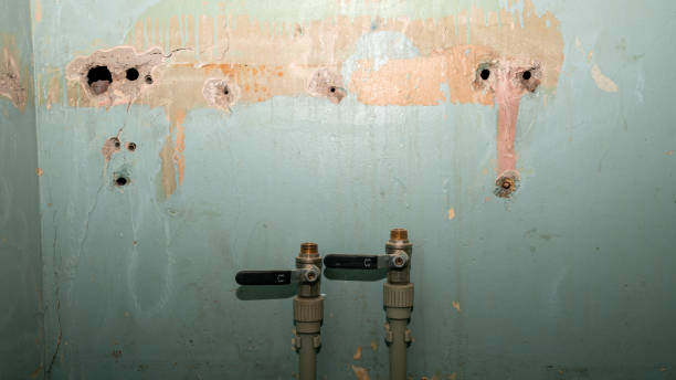 Best Carpet water damage restoration  in North Potomac, MD