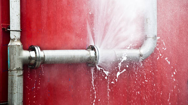 North Potomac, MD Water damage restoration Pros