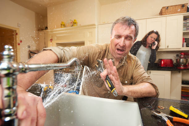 Best Ceiling water damage repair  in North Potomac, MD